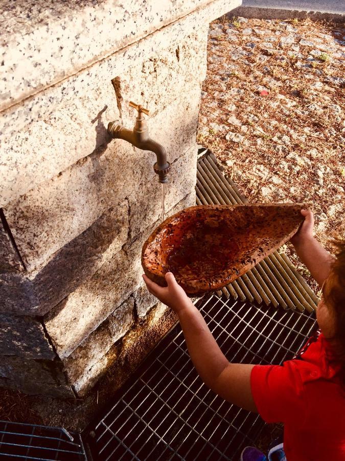 La Vecchia Posta B&B Calangianus Dış mekan fotoğraf
