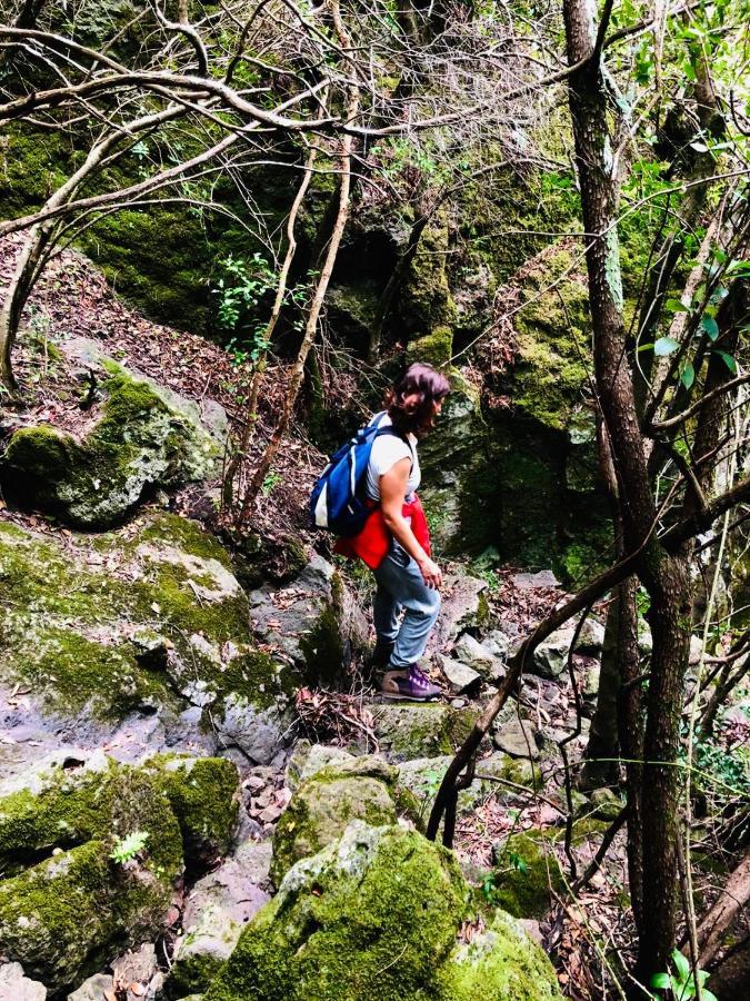 La Vecchia Posta B&B Calangianus Dış mekan fotoğraf